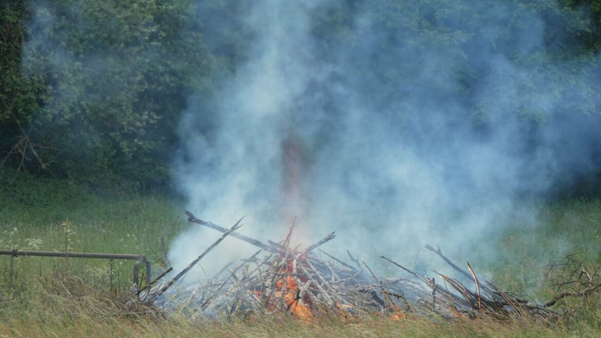 Rauchentwicklung aus Wald, unklares Feuer
