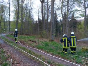 Weil Taktik & Zeit entscheidend sind: Waldbrandübung in Sachsenhausen