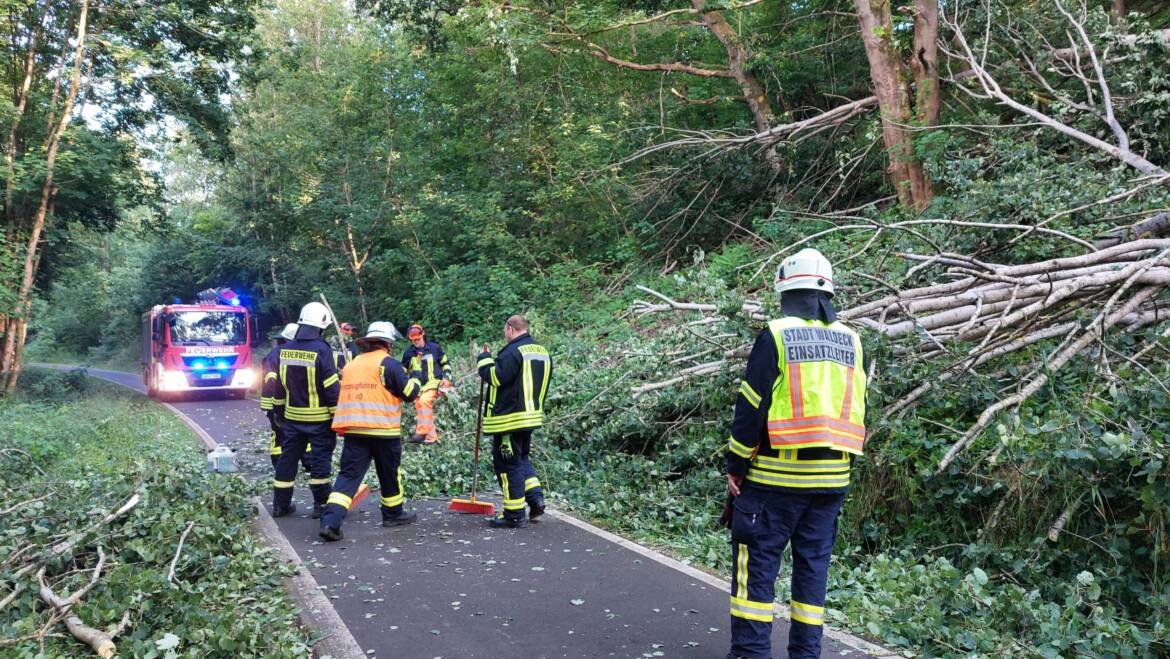 Baum blockiert Radweg