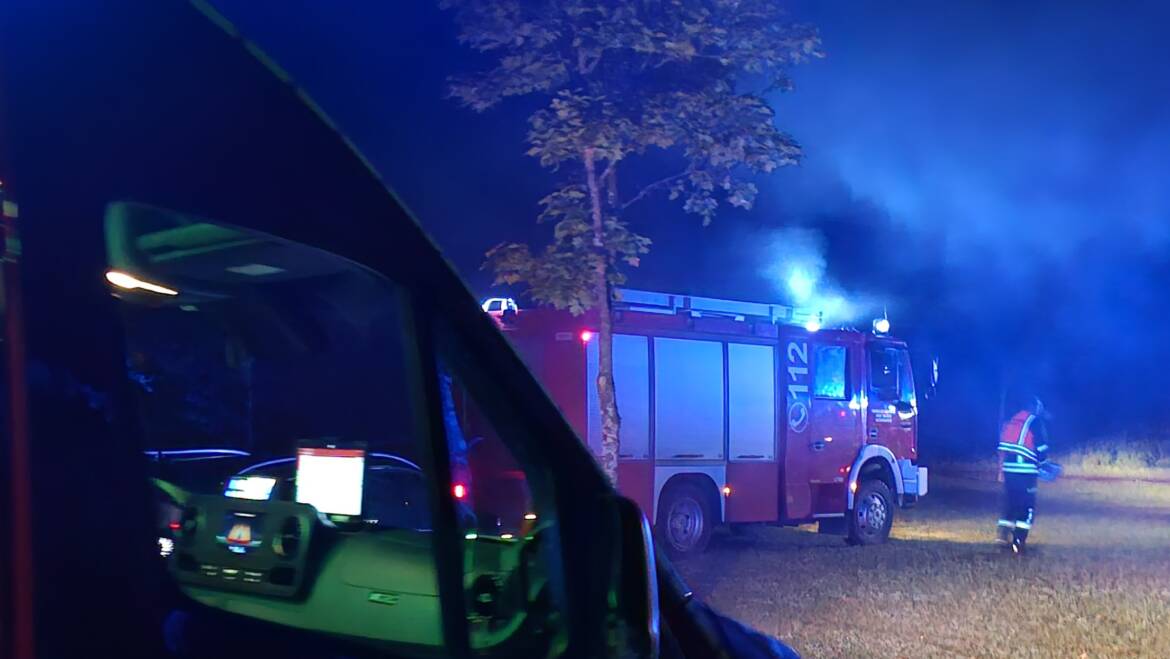 Amtshilfe Polizei, entlaufene Pferde in Ortsdurchfahrt