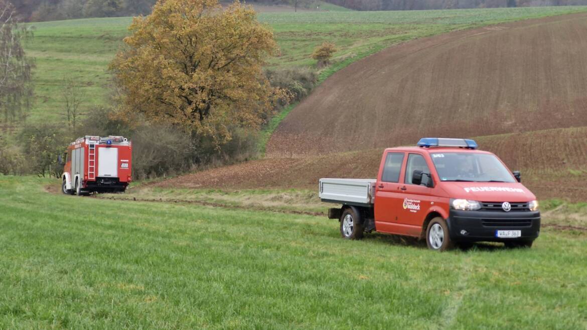 Medizinischer Notfall in unwegsamen Gelände, Reanimation