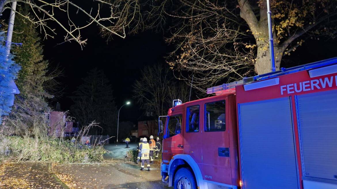 Umgestürzter Baum über Fahrbahn