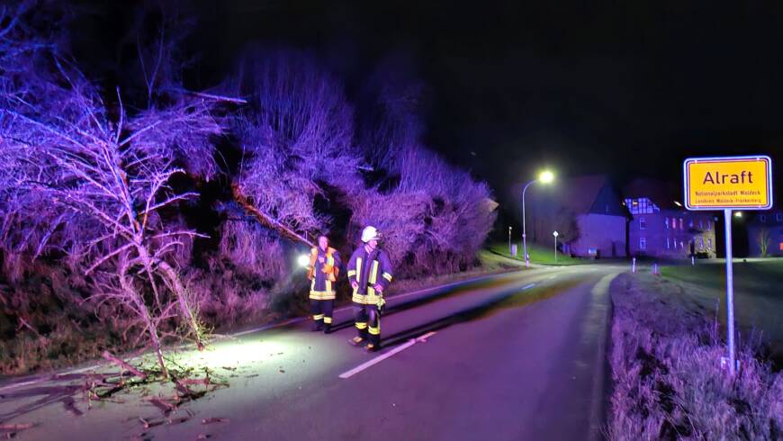 Baum halbseitig auf Fahrbahn