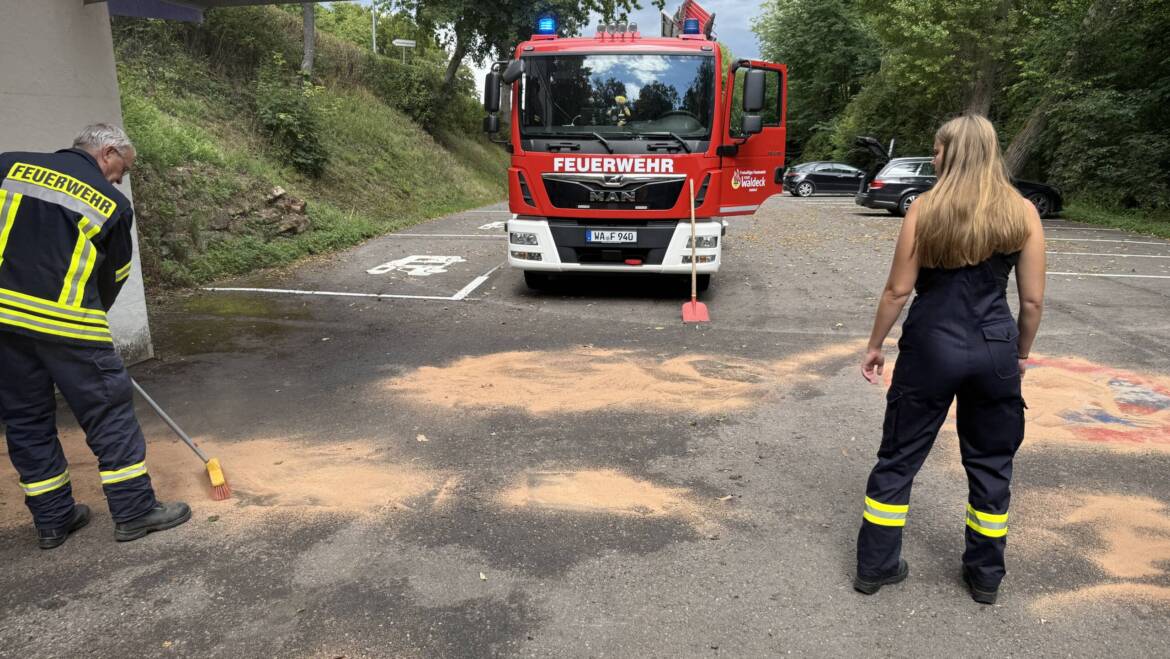 Öl auf Parkfläche