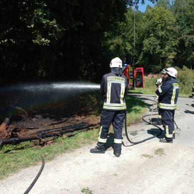 Flächenbrand am Waldrand