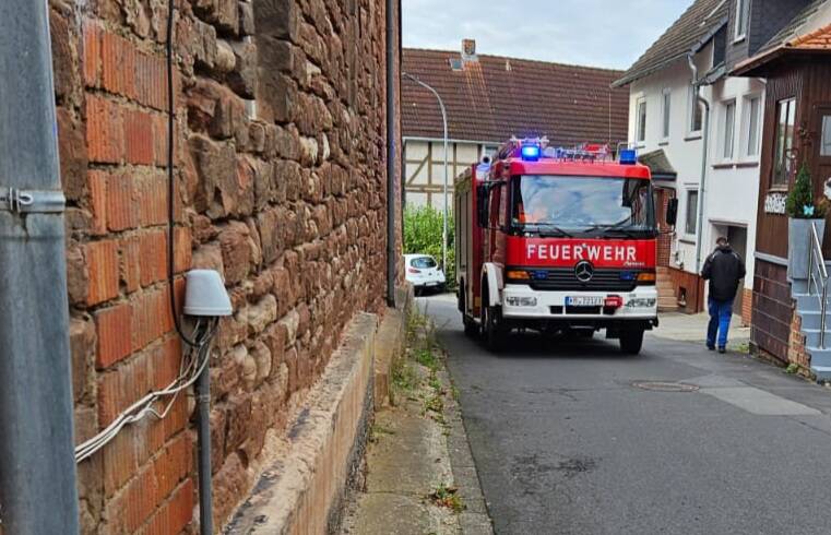 Ausgelöster Heimrauchmelder