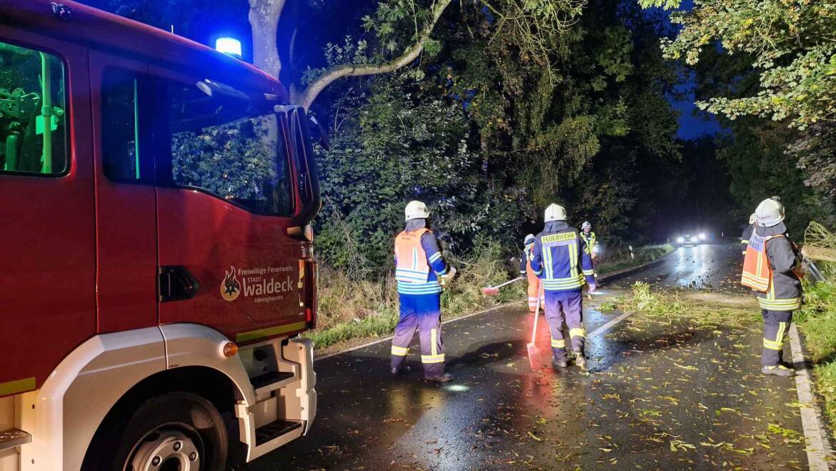 Baum versperrt Landesstraße
