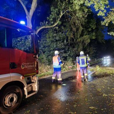 Baum versperrt Landesstraße