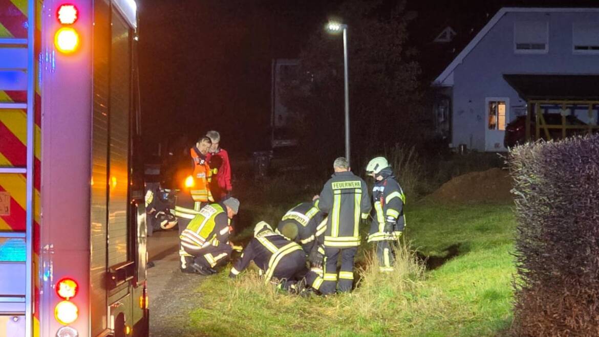 Kleintier in Kanalschacht eingeschlossen