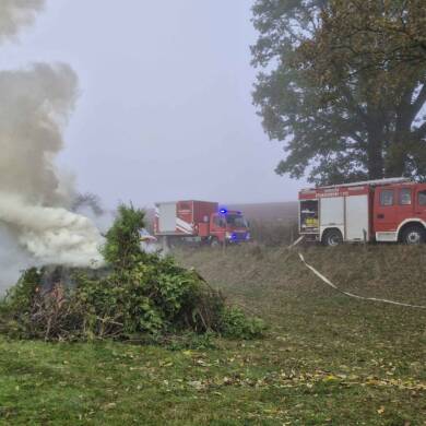 Rauchentwicklung im Wald