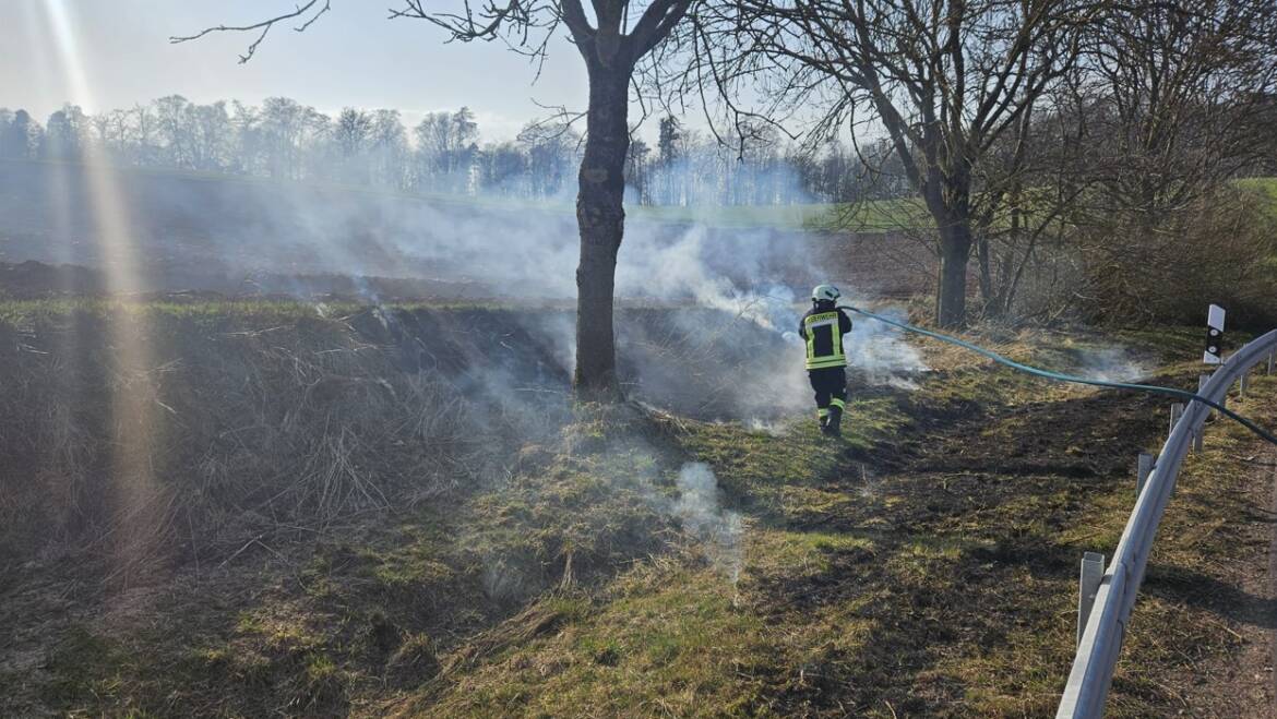 Brennt Grasfläche neben Landesstraße