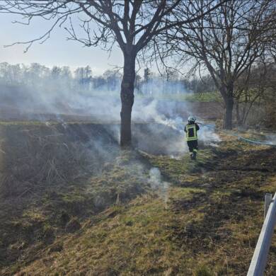 Brennt Grasfläche neben Landesstraße