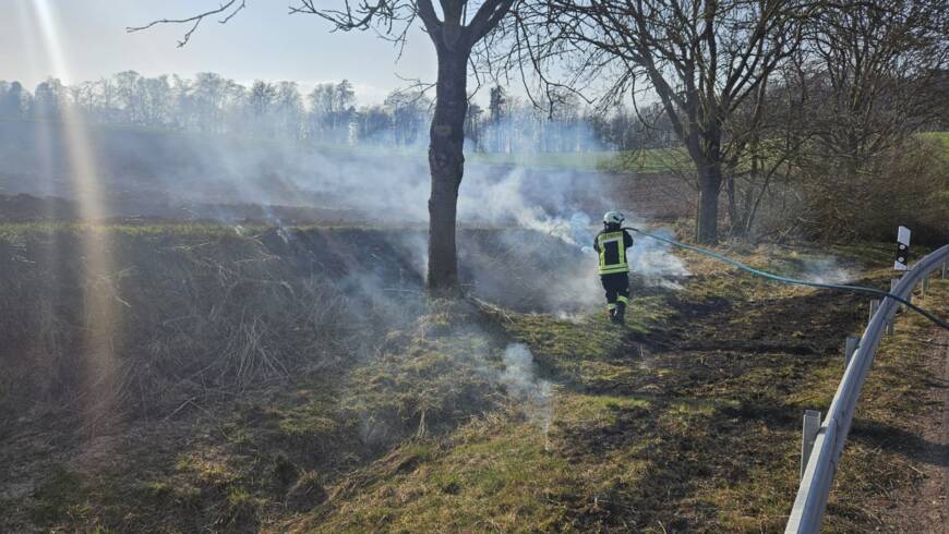 Brennt Grasfläche neben Landesstraße