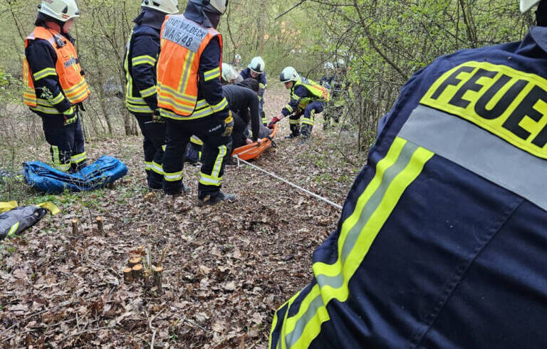 Tier in Not: Pferd nach Sturz aus unwegsamem Gelände gerettet