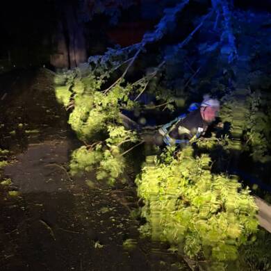 Baum auf Fahrbahn nach Unwetter