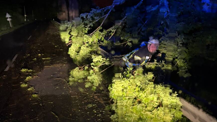 Baum auf Fahrbahn nach Unwetter