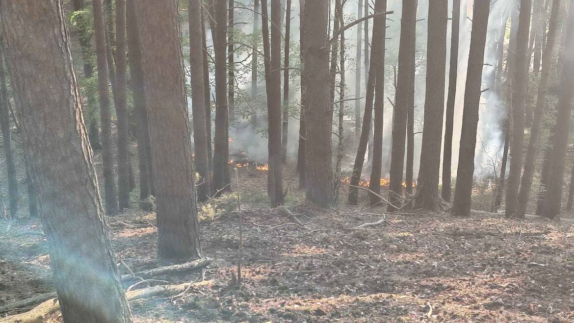 Waldbrand ca. 500qm am Steilhang