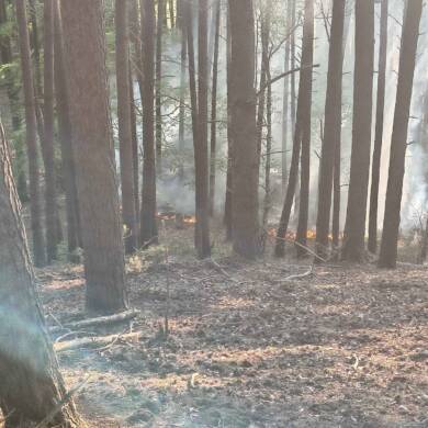Waldbrand ca. 500qm am Steilhang