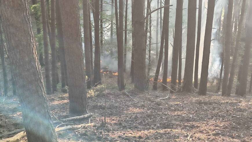 Waldbrand ca. 500qm am Steilhang