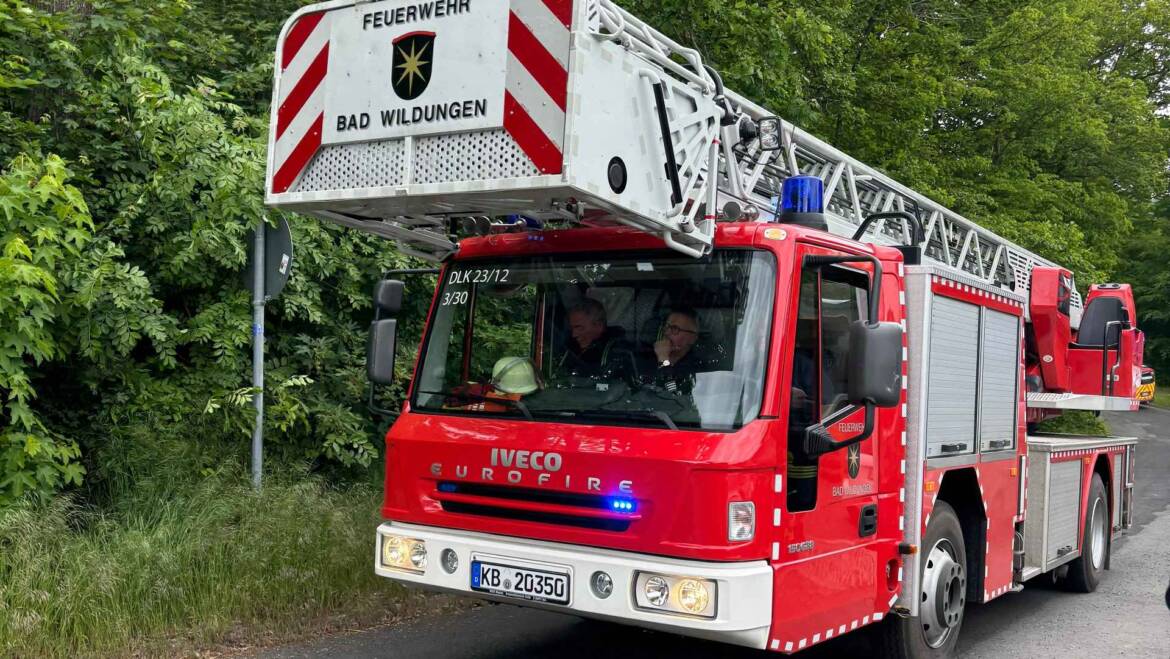 Fallschirmspringer in Baum in Absturzgefahr