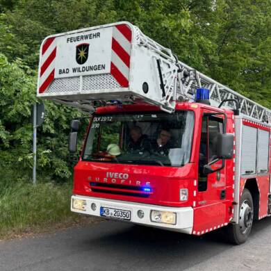Fallschirmspringer in Baum in Absturzgefahr