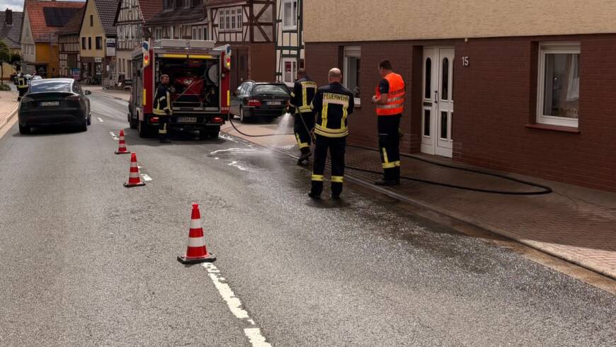 Güllespur auf Fahrbahn