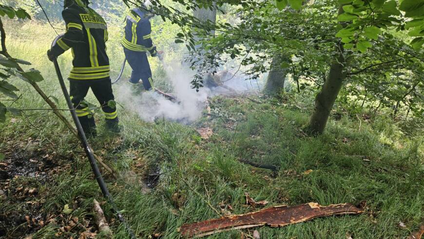 Blitzeinschlag entzündet Baum im Nationalpark