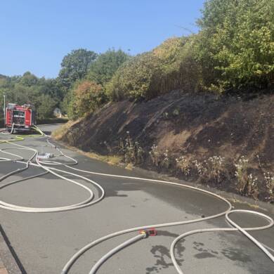 Flächenbrand