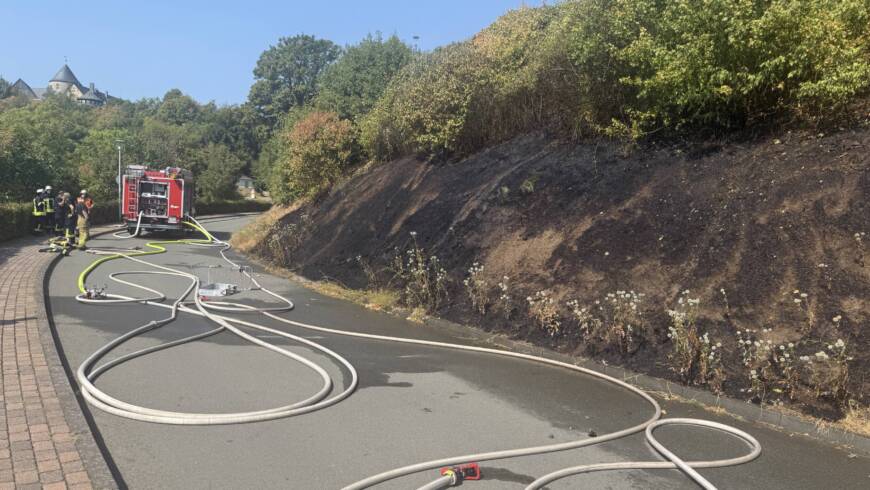 Flächenbrand