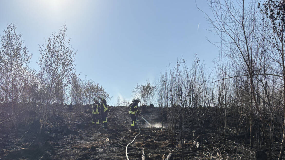 Überörtliche Unterstützung: Waldbrand bei Helmighausen