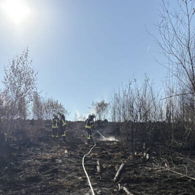 Überörtliche Unterstützung: Waldbrand bei Helminghausen